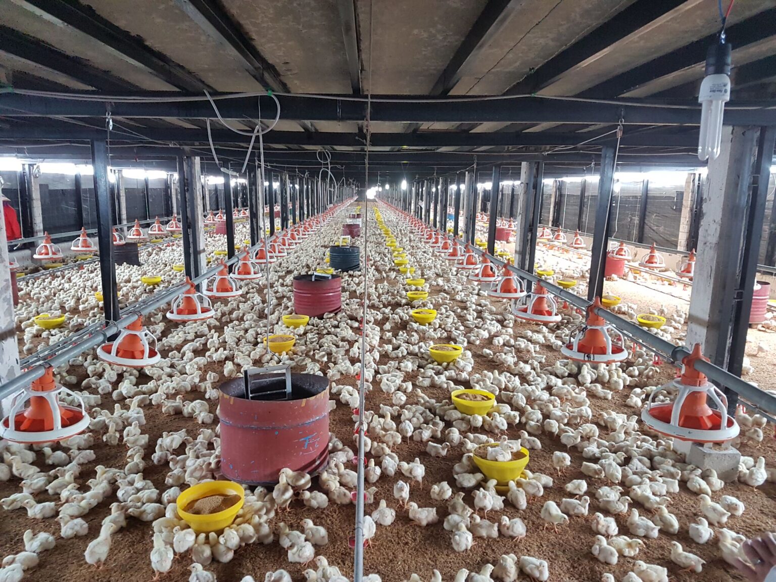 TE-Food – Hatalmas siker lett a magyar ICO