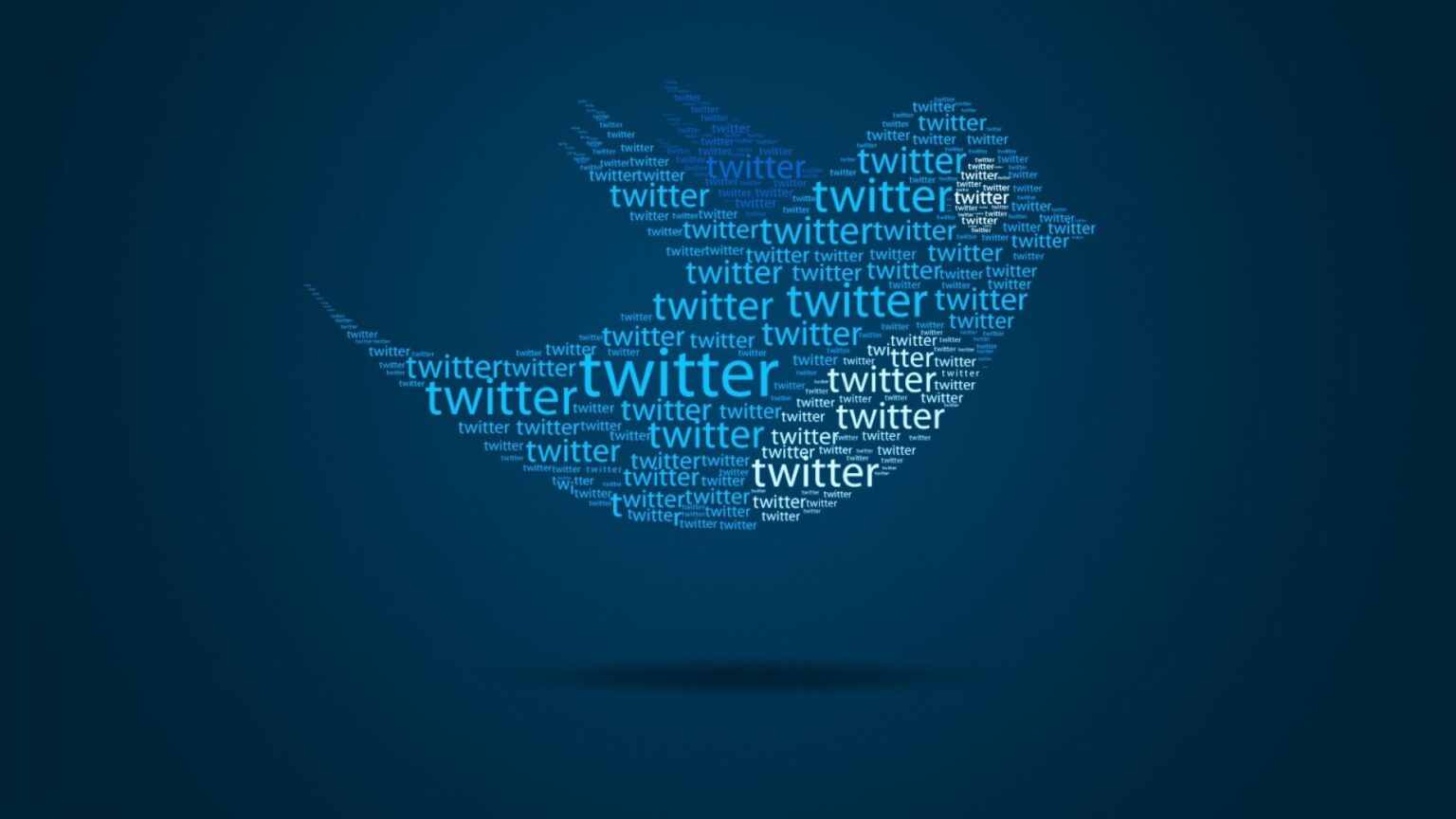 A Twitter igazgatója a Bitcoin mellé állt