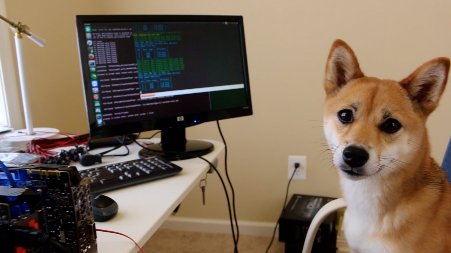 Annyira szar, hogy már jó, avagy a DogeCoin trónkövetelői