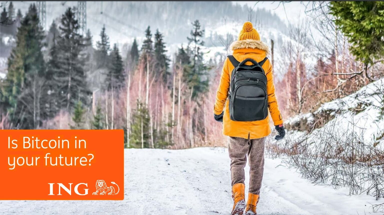 ING nemzetközi felmérés: a megkérdezettek 15%-a nem bánná, ha bitcoinban kapná a fizetését