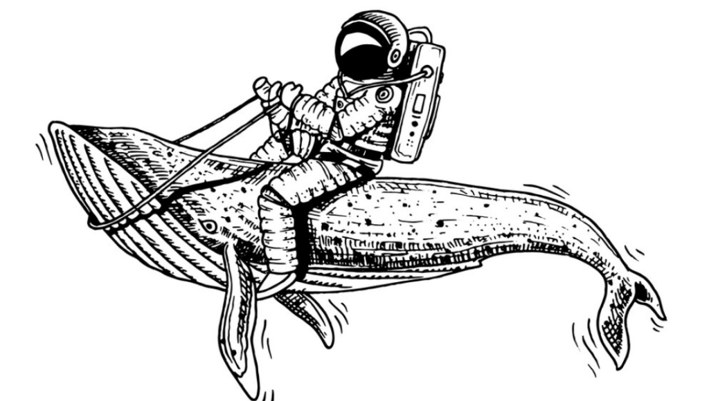 Ősbálnát foghatott az elemző