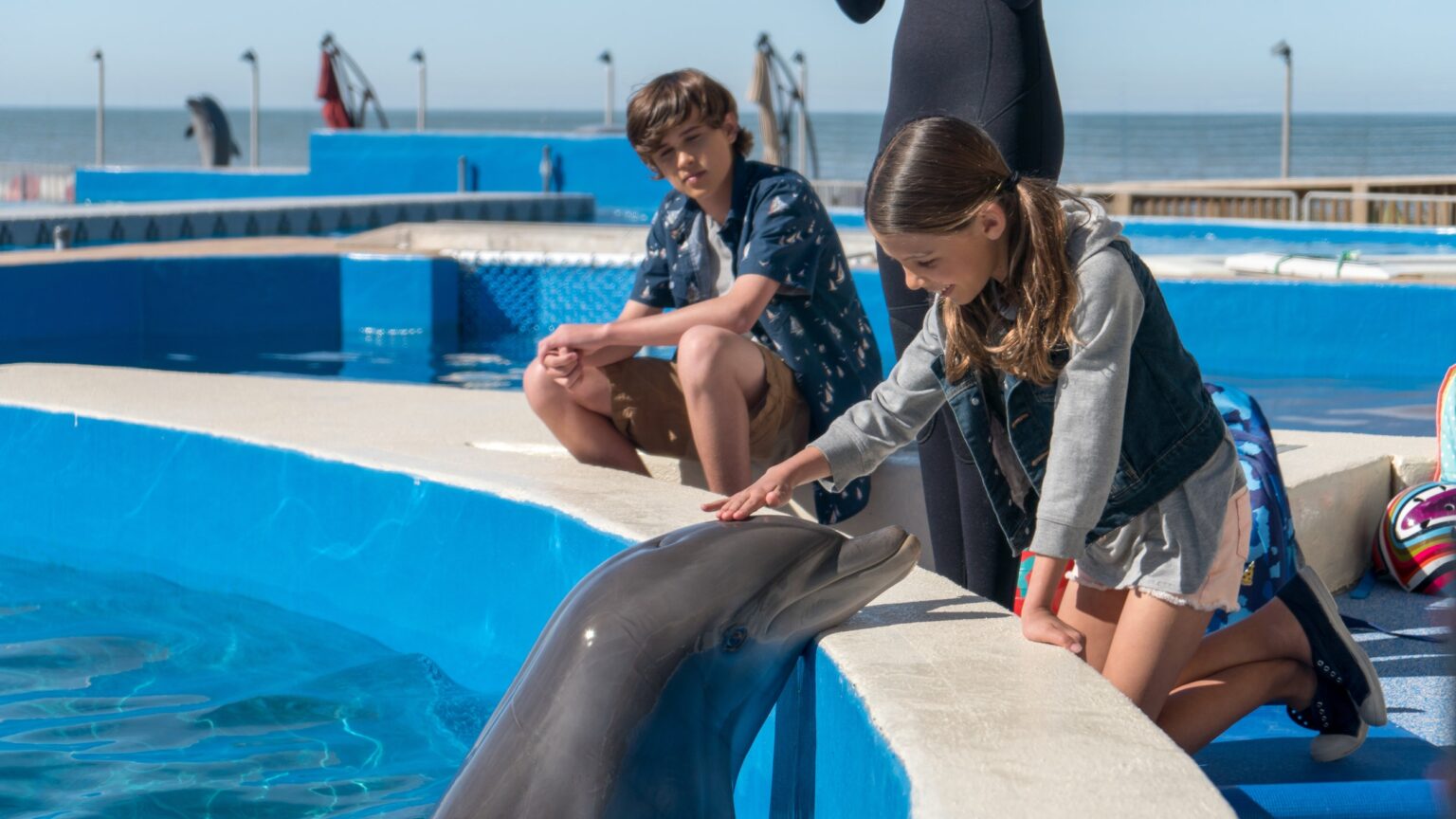 Bernie, a delfin és 600 000 000 dollár