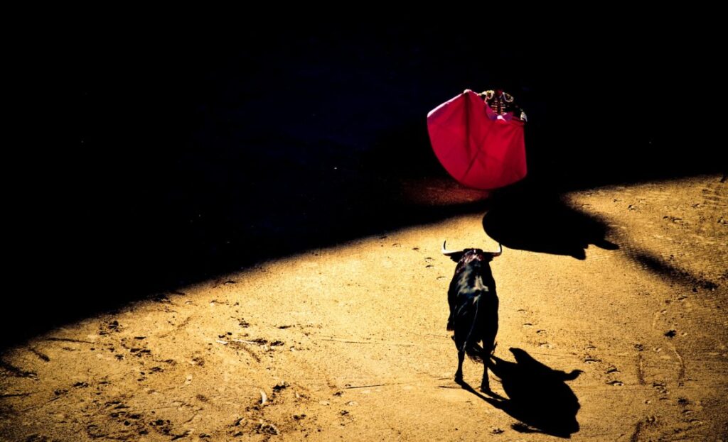 Tündököl a BTC a tőzsde szenvedése közepette