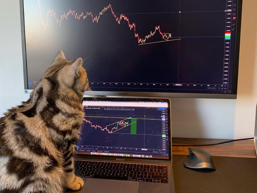 Akciós a Tradingview, de nem mindenkinek