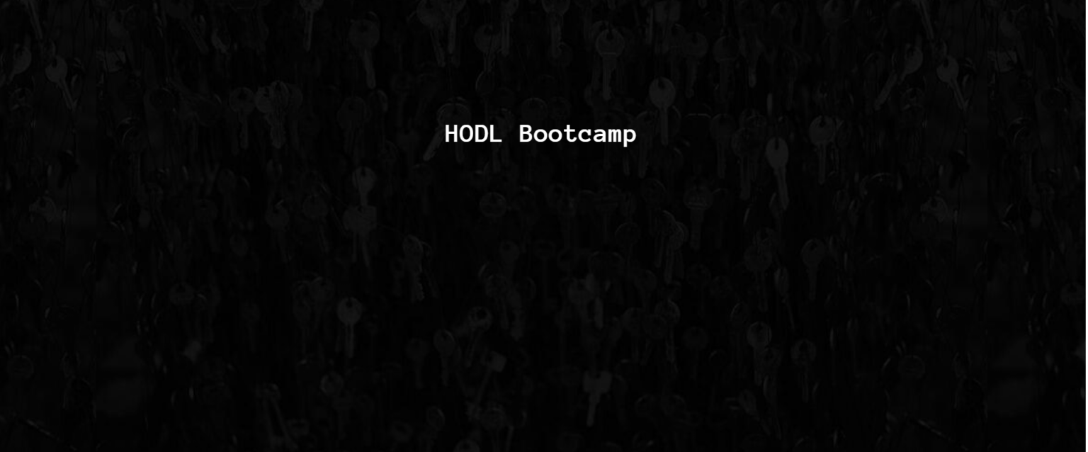 HODL tanfolyam?