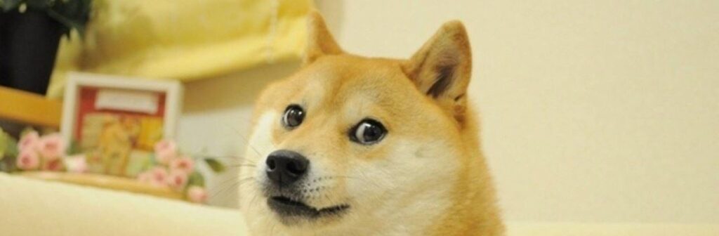Két bálna kihasználta az emelkedést és eladott 1,4 milliárd DOGE-t