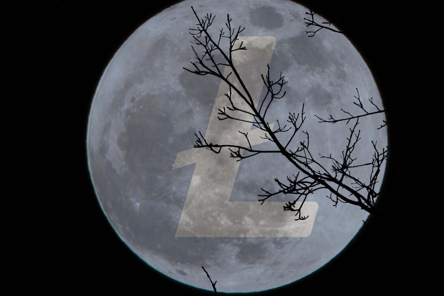 Horror film készült a Litecoin Alapítvány támogatásával