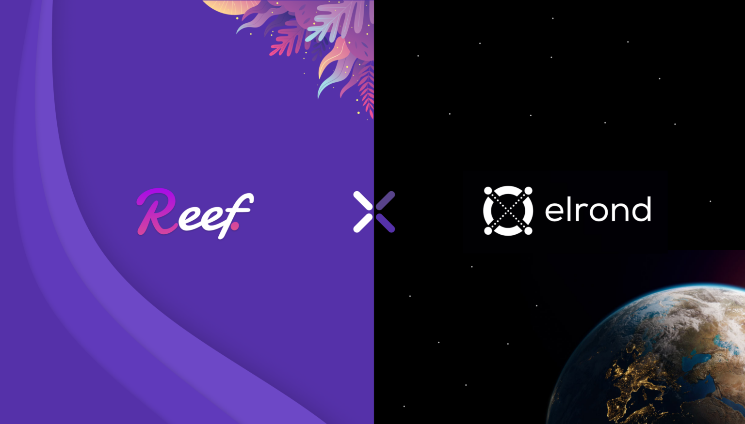 A Reef Finance egyesíti erőit az Elronddal