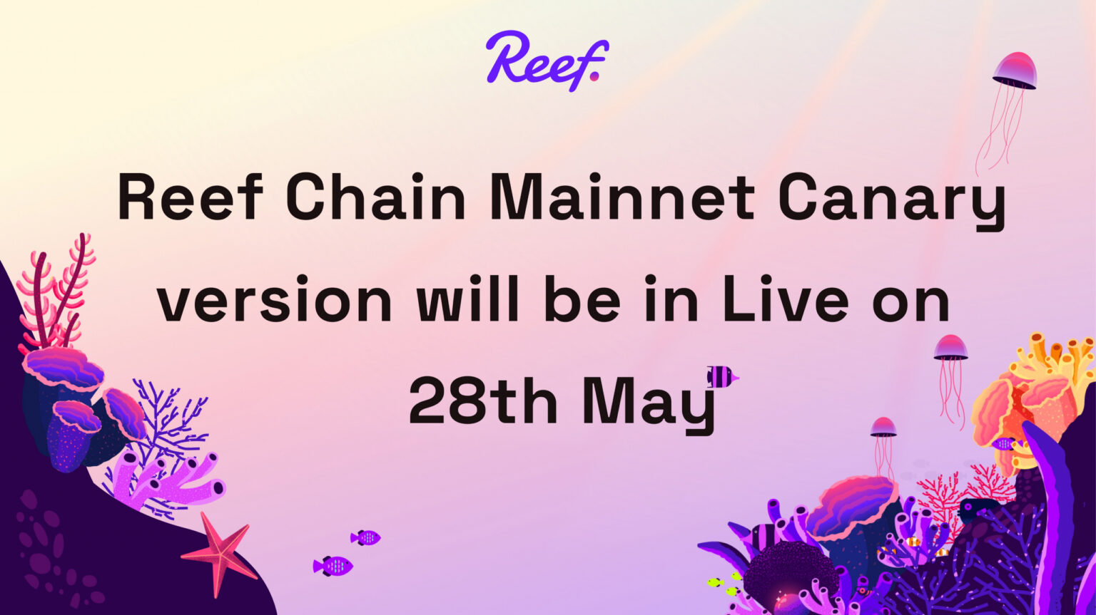 Fontos mérföldkő a Reef Chain életében