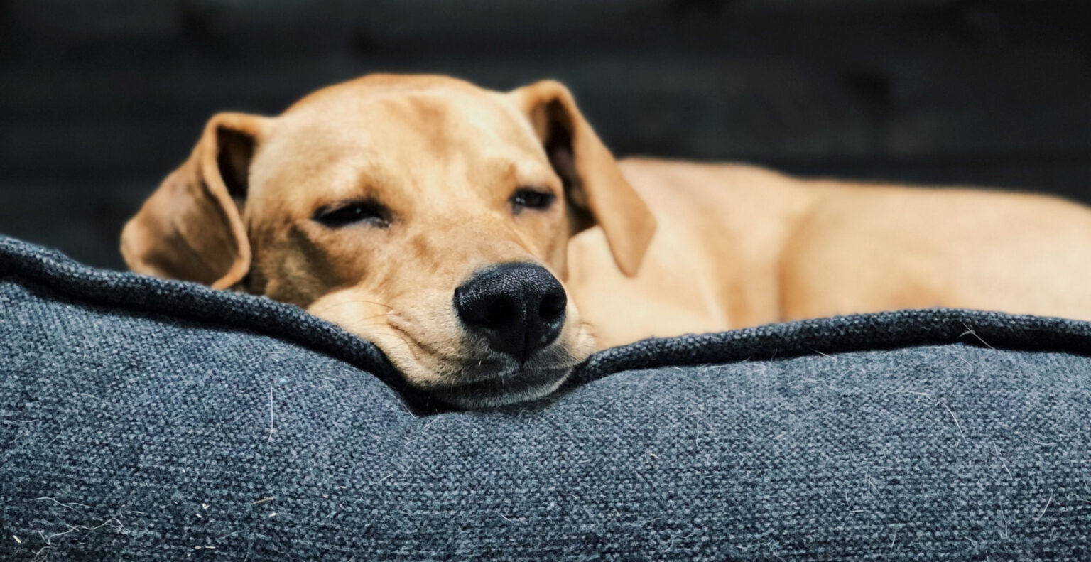 Amitől jobban alszol: stop-loss és take profit egyszerre a Binance-en