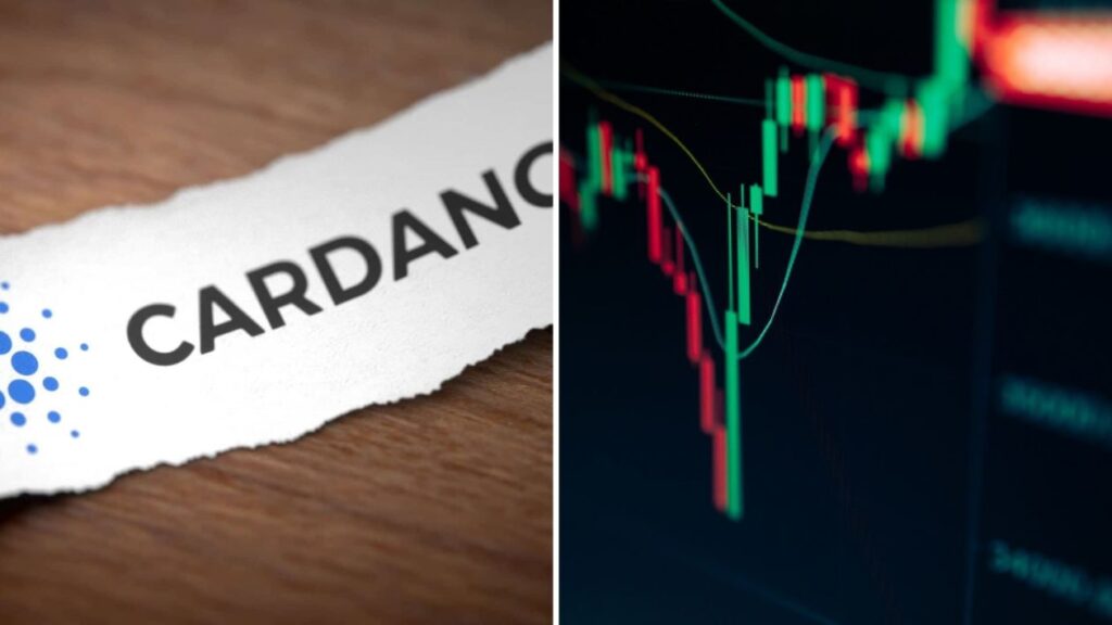 Révbe érhet a Cardano, szeptemberben érkezik a legjobban várt fejlesztés