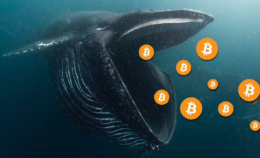 Bitcoin bálnák újabb generációja