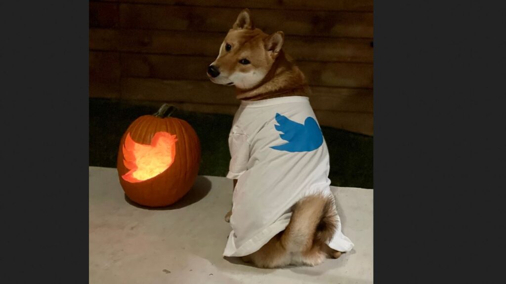 A Dogecoin lesz a Twitter kriptopénze?