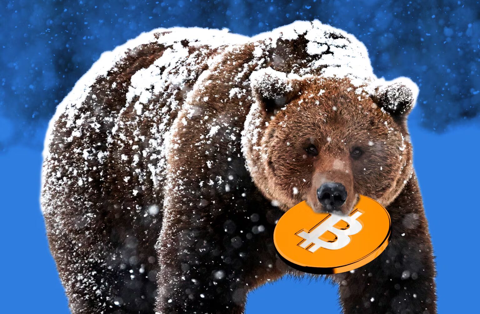 Mi válthatja ki a következő kripto medvepiacot? – A vállalati Bitcoin-láz árnyoldala bitcoin medvepiac