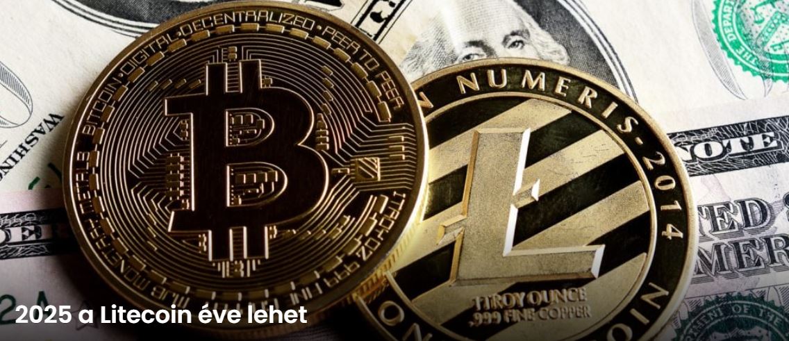 Kiskedvenc a nagybefektetők hálójában - a Litecoin saga 