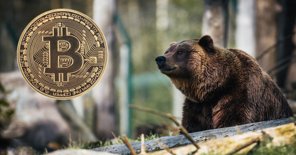 bitcoin bear