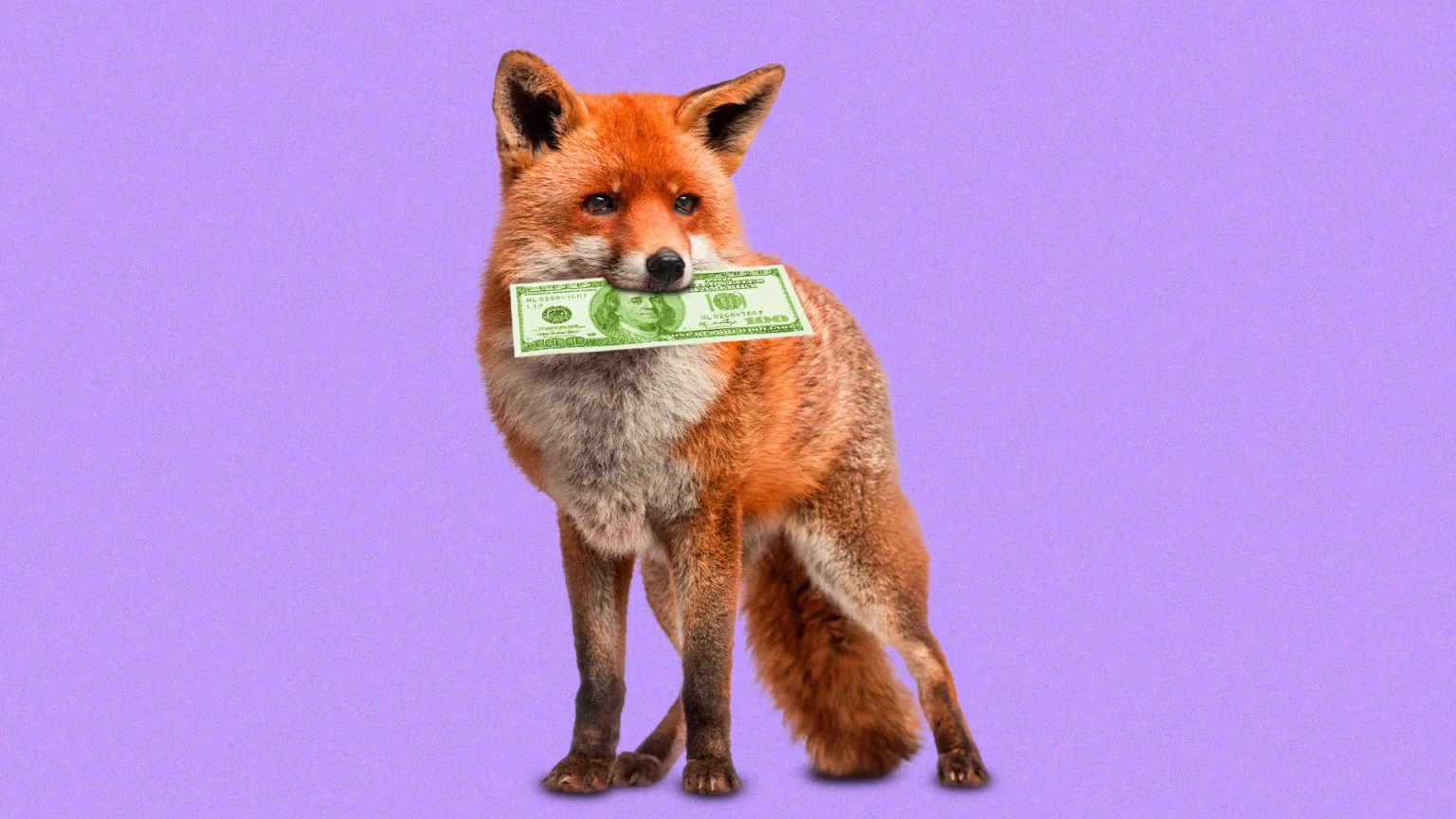 Tőzsdére készül a MetaMask anyavállalata, a Consensys – a JPMorgan és a Goldman Sachs segíti a folyamatot