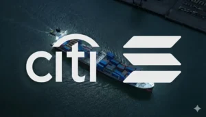 pénzügyi forradalom