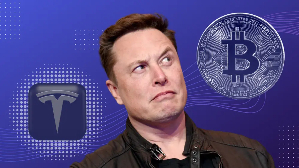 a világ ura lehet elon musk