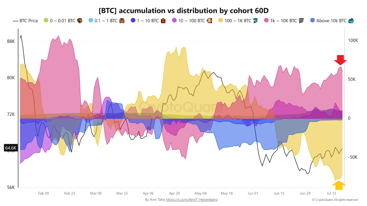 Bitcoin bálnakakció a színfalak mögött