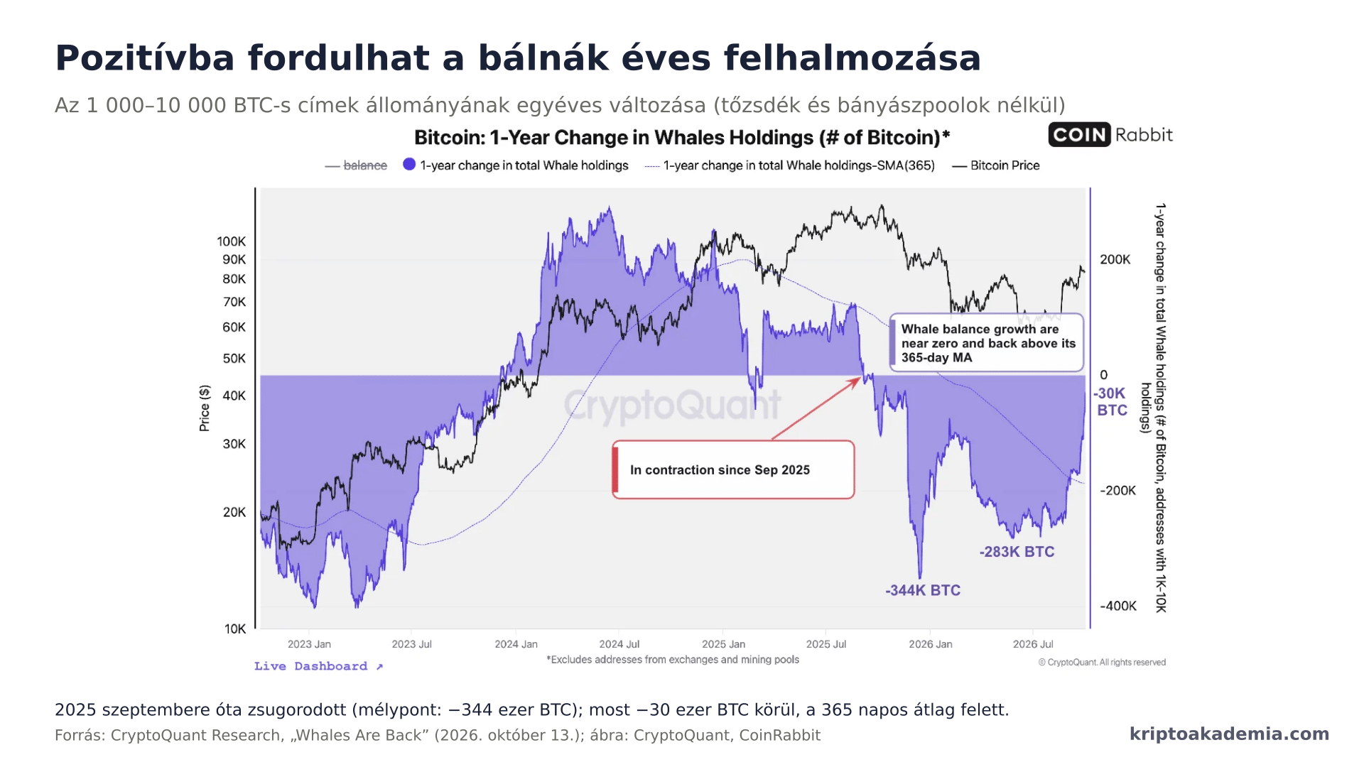Visszatértek a bálnák